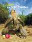 Preview: Entdecke die Schildkröten